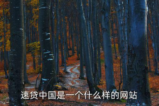 速貸中國(guó)是一個(gè)什么樣的網(wǎng)站