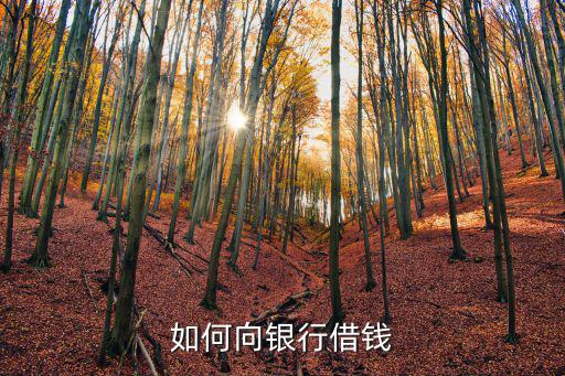怎么向銀行還貸款，如何還銀行貸款