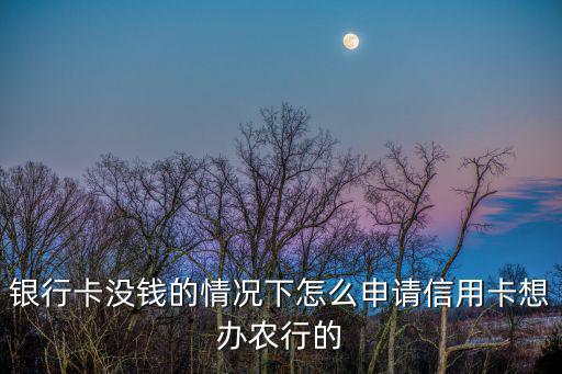 銀行卡沒(méi)錢的情況下怎么申請(qǐng)信用卡想辦農(nóng)行的