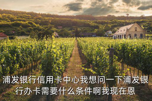 浦發(fā)銀行信用卡中心我想問一下浦發(fā)銀行辦卡需要什么條件啊我現(xiàn)在恩