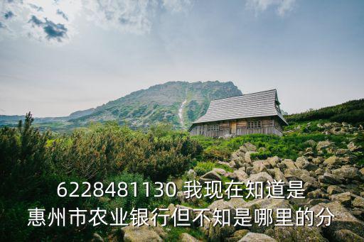6228481130 我現(xiàn)在知道是惠州市農(nóng)業(yè)銀行但不知是哪里的分