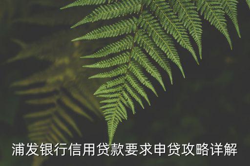 浦發(fā)銀行信用貸款要求申貸攻略詳解