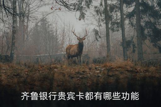 齊魯銀行貴賓卡都有哪些功能