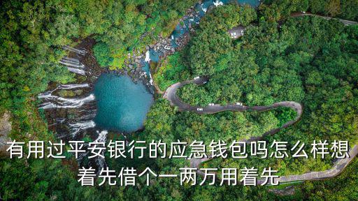 有用過平安銀行的應(yīng)急錢包嗎怎么樣想著先借個一兩萬用著先