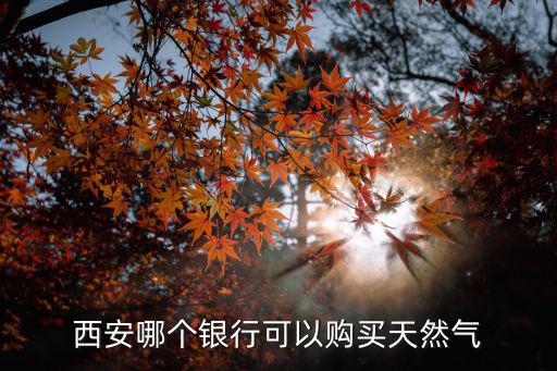 西安銀行怎么買氣，西安哪個銀行可以購買天然氣