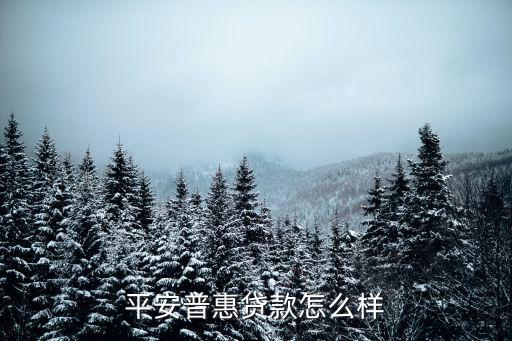 平安普惠車險(xiǎn)貸怎么樣，平安普惠貸款怎么樣