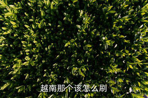 怎么在越南刷卡，去越南旅游可以刷卡消費(fèi)么