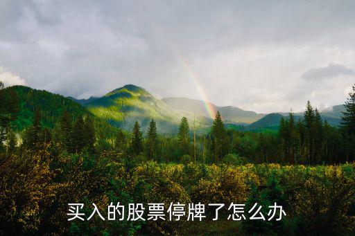 買入的股票停牌了怎么辦