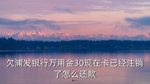 欠浦發(fā)銀行萬用金30現(xiàn)在卡已經(jīng)注銷了怎么還款