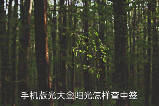 手機(jī)版光大金陽(yáng)光怎樣查中簽