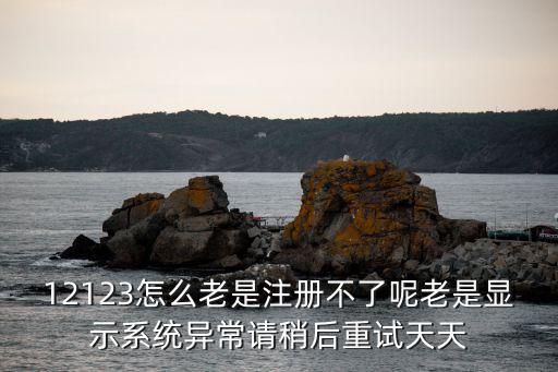12123怎么老是注冊不了呢老是顯示系統(tǒng)異常請稍后重試天天