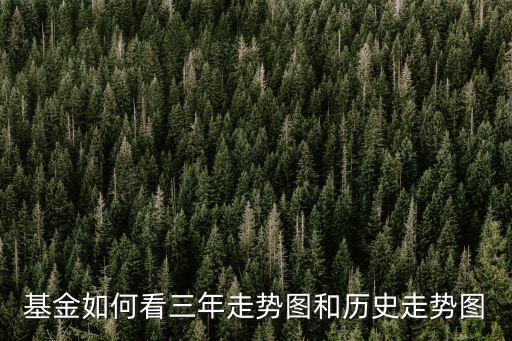 基金如何看三年走勢(shì)圖和歷史走勢(shì)圖