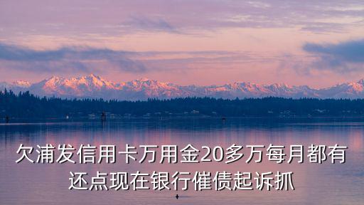欠浦發(fā)信用卡萬用金20多萬每月都有還點(diǎn)現(xiàn)在銀行催債起訴抓