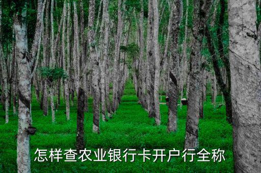 農(nóng)業(yè)銀行查支行怎么查詢，農(nóng)行網(wǎng)上銀行如何查詢支付信息