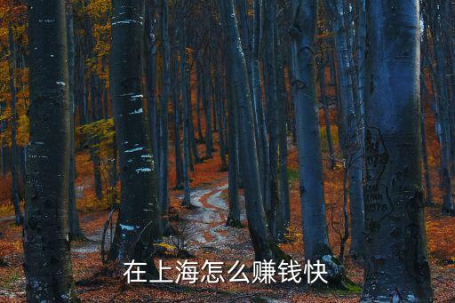 在上海怎么賺錢(qián)快