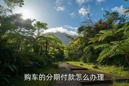 購車的分期付款怎么辦理