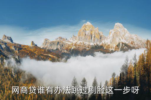 網(wǎng)商貸誰有辦法跳過刷臉這一步呀