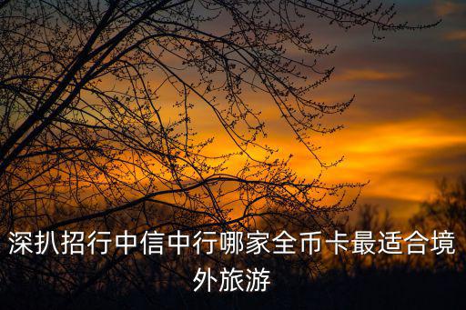 深扒招行中信中行哪家全幣卡最適合境外旅游