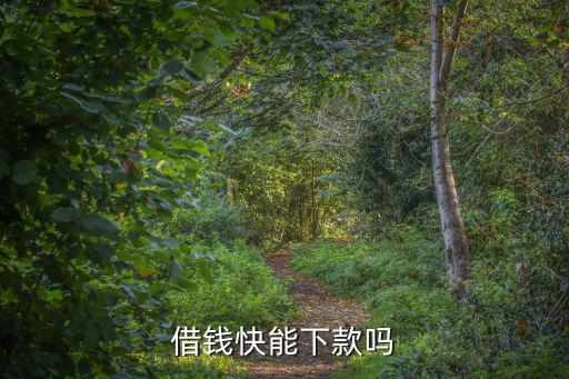 借的快怎么下款，怎么樣用最快的速度貸款