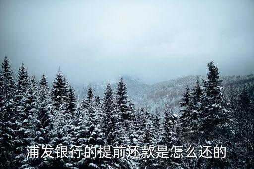 浦發(fā)銀行的提前還款是怎么還的