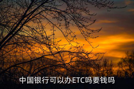 中國(guó)銀行可以辦ETC嗎要錢(qián)嗎