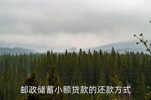 郵政儲(chǔ)蓄小額貸款的還款方式