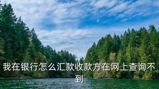 我在銀行怎么匯款收款方在網(wǎng)上查詢不到