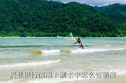 興業(yè)剛批卡怎么查額度嗎，興業(yè)銀行信用卡已經(jīng)征信多久有結(jié)果如果審批成功了怎么查額度