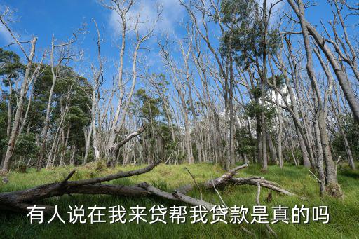 我來貸個人版怎么樣，有人說在我來貸幫我貸款是真的嗎