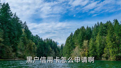 黑白菜卡怎么申請(qǐng)，joy and peace有卡嗎怎么辦理的
