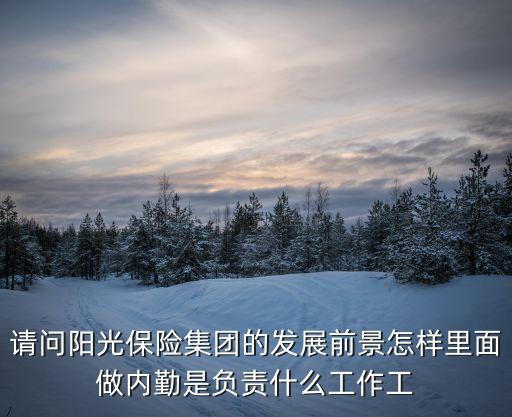 請(qǐng)問(wèn)陽(yáng)光保險(xiǎn)集團(tuán)的發(fā)展前景怎樣里面做內(nèi)勤是負(fù)責(zé)什么工作工