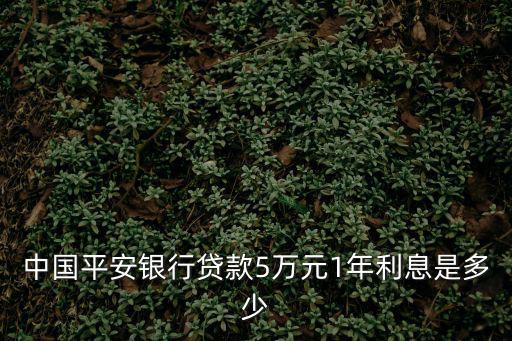 平安普惠5萬利息怎么算，我貸50000元年利率6每個(gè)月利息是多少