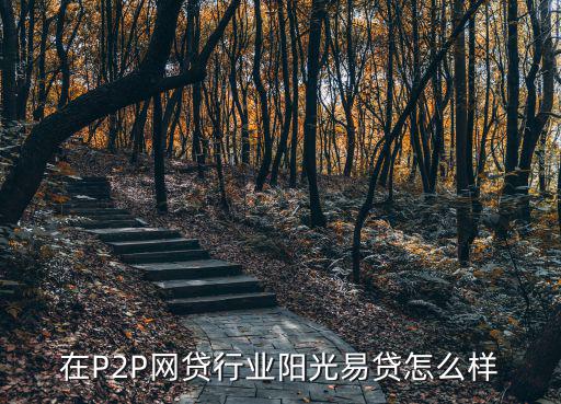在P2P網(wǎng)貸行業(yè)陽(yáng)光易貸怎么樣