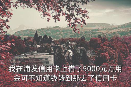 浦發(fā)萬用金怎么入賬，親愛的朋友們請(qǐng)指教我在浦發(fā)信用卡借了5000仟元萬用金不知道