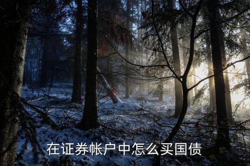 在證券帳戶中怎么買國債