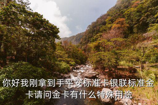 你好我剛拿到手平安標(biāo)準(zhǔn)卡銀聯(lián)標(biāo)準(zhǔn)金卡請問金卡有什么特殊用途