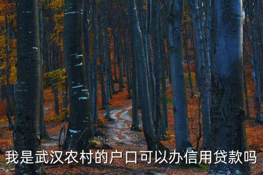 武漢農(nóng)村人怎么貸款，武漢農(nóng)村沒工作有什么方法搞到貸款
