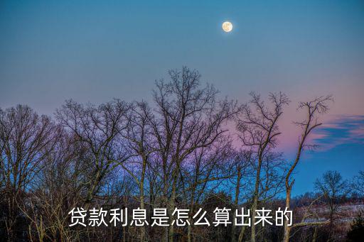 手機(jī)貸款利息怎么算，貸款的利息怎么算