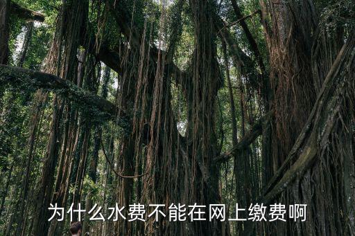 為什么水費(fèi)不能在網(wǎng)上繳費(fèi)啊
