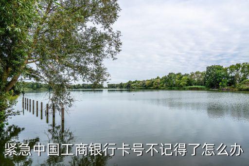 緊急中國(guó)工商銀行卡號(hào)不記得了怎么辦