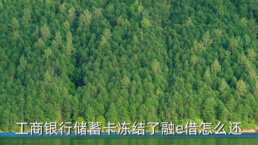 工商銀行儲蓄卡凍結了融e借怎么還