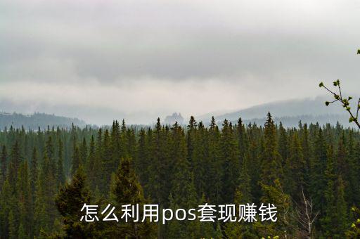 怎么利用pos套現(xiàn)賺錢