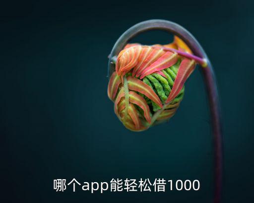 哪個app能輕松借1000