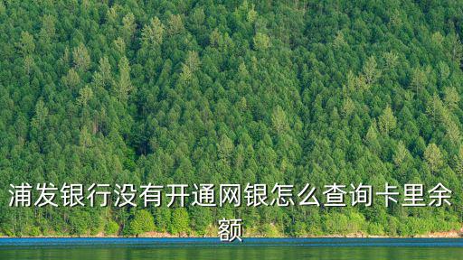 浦發(fā)儲蓄卡怎么查余額，網(wǎng)上可以查到浦發(fā)銀行卡的余額嗎