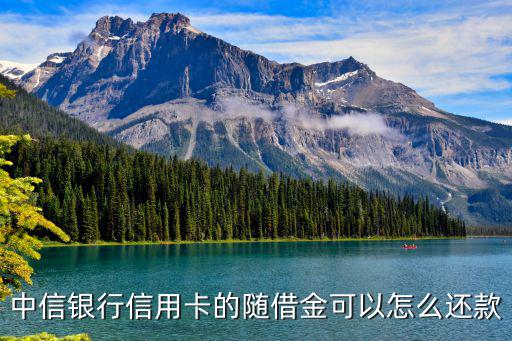 中信銀行信用卡的隨借金可以怎么還款
