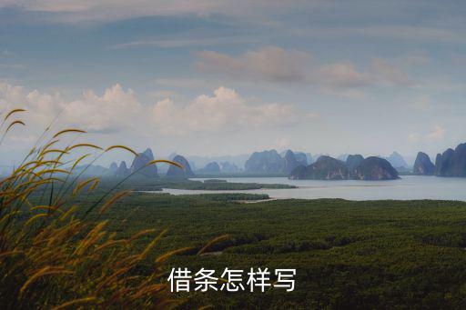 借錢的條子怎么寫，向別人借錢的借條怎么寫