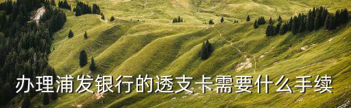 辦理浦發(fā)銀行的透支卡需要什么手續(xù)