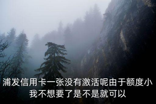 浦發(fā)信用卡一張沒有激活呢由于額度小我不想要了是不是就可以