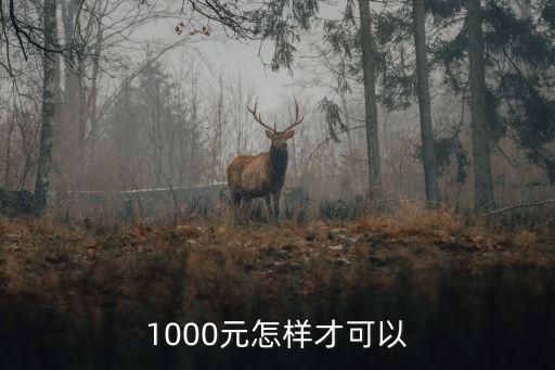 怎么有1000塊錢，怎樣在幾天內得到1000塊錢