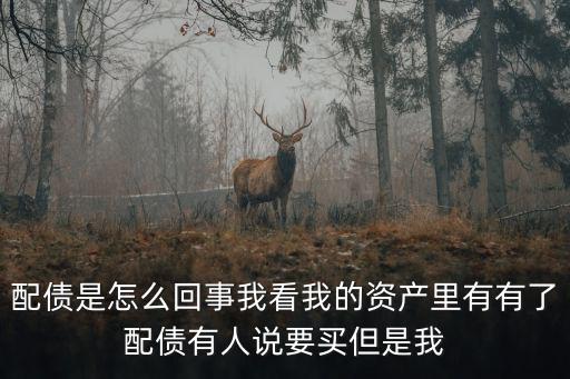 配債是怎么回事我看我的資產(chǎn)里有有了配債有人說(shuō)要買但是我